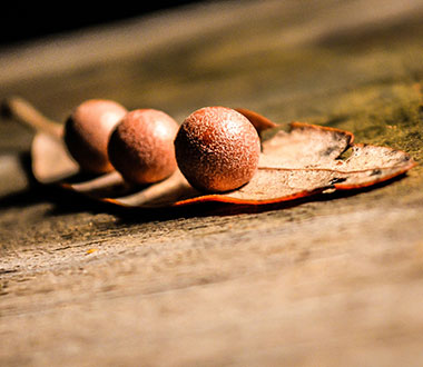 渠道正规的轰炸电话在线下单