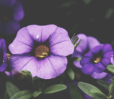 手机号轰炸业务网